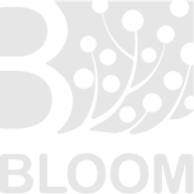 bloomchat.png